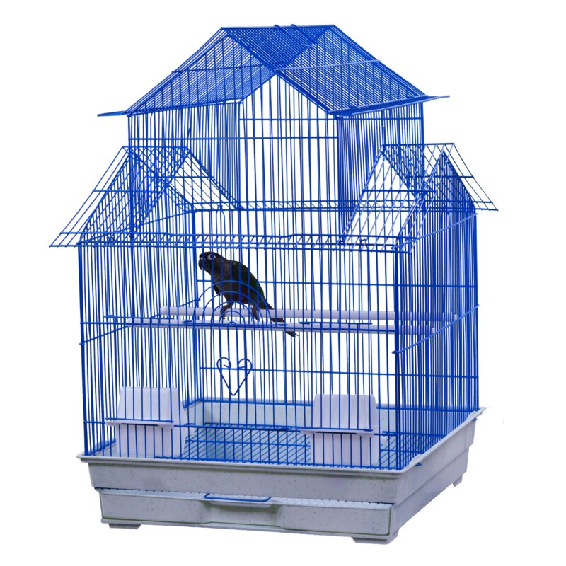 Love birds with cage shops price